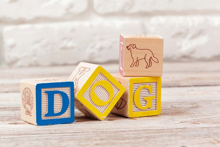 Dog Letters