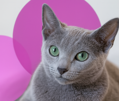 6c520bc1-af53-4490-ab14-f9bc94568dbe